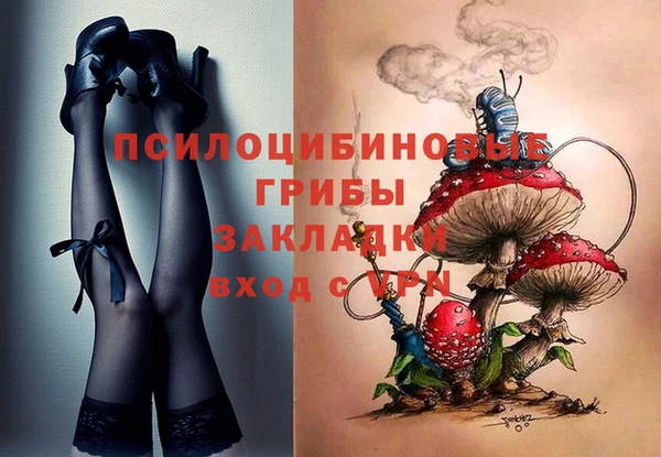 шишки Беслан