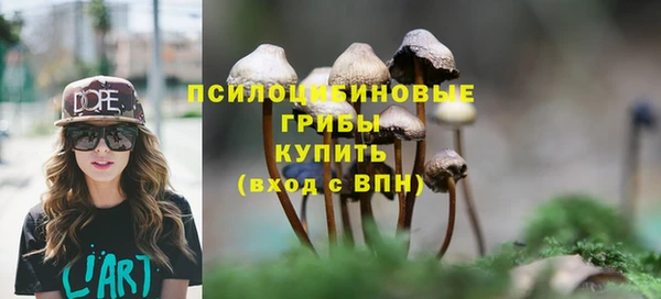 марки lsd Бикин