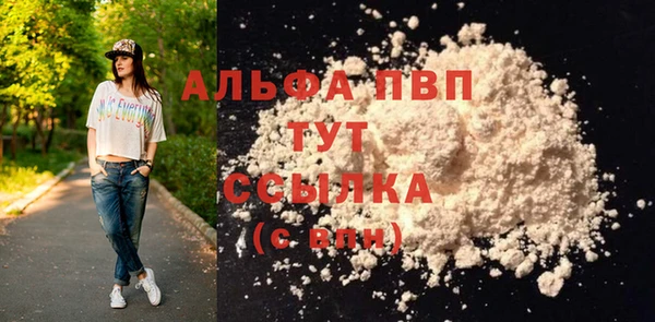 шишки Беслан