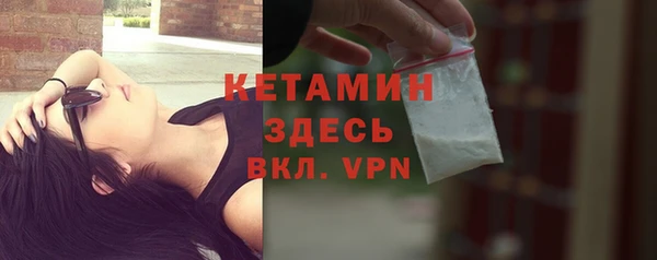 крисы Болотное