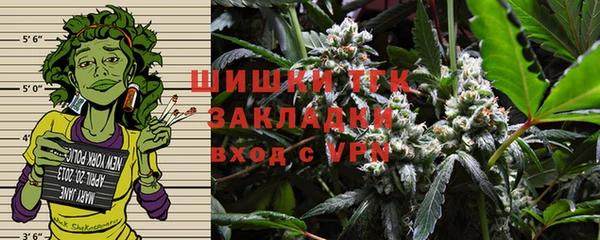 крисы Болотное