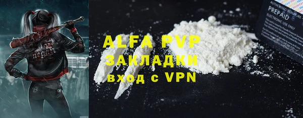 крисы Болотное