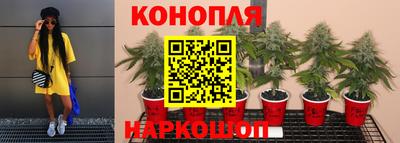 jwh Дубна