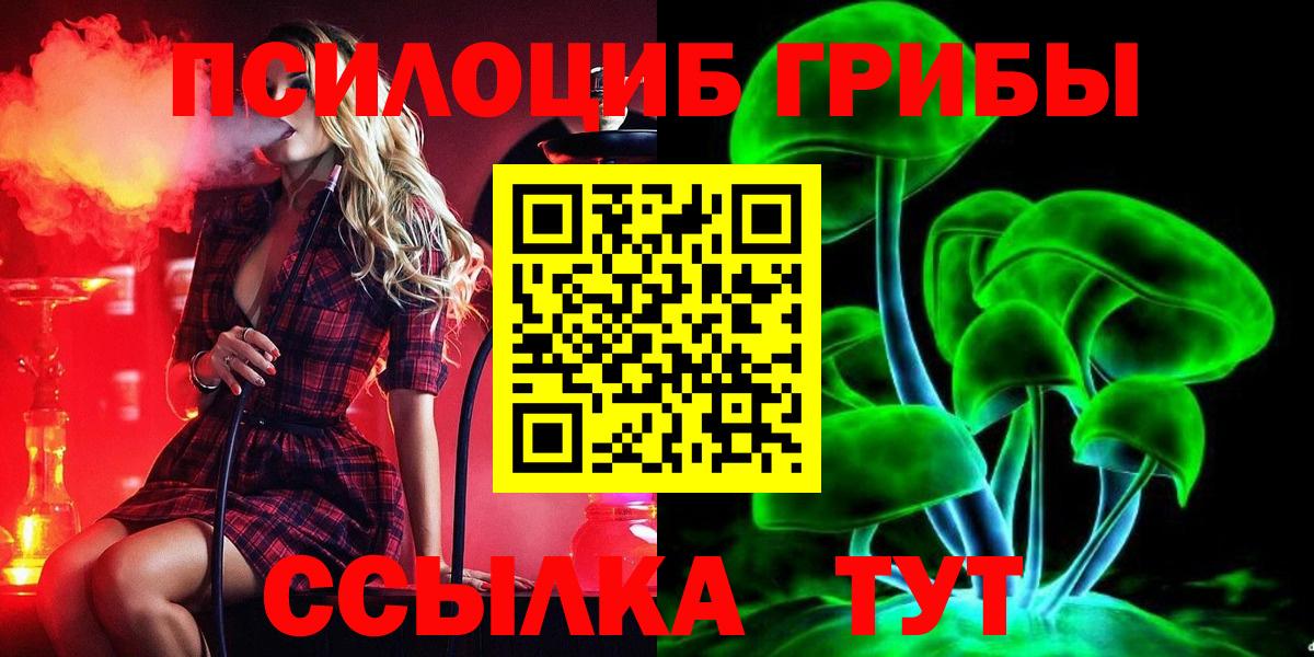 Кириши  Галлюциногенные грибы прущие грибы  Вход с VPN  Псилоцибиновые грибы Cubensis 
